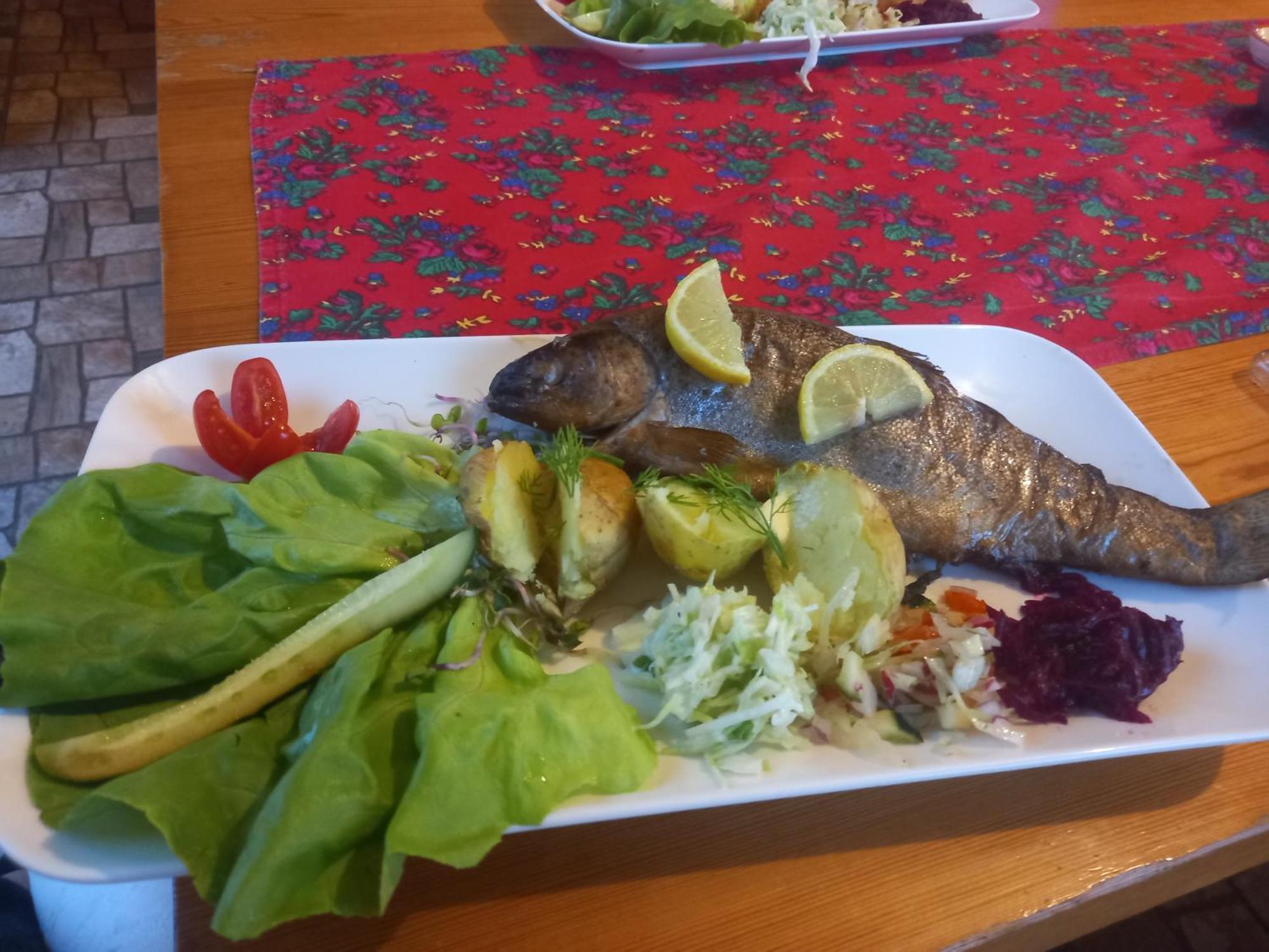 Gazdowka Na Mosornym Groniu Villa Zawoja Buitenkant foto
